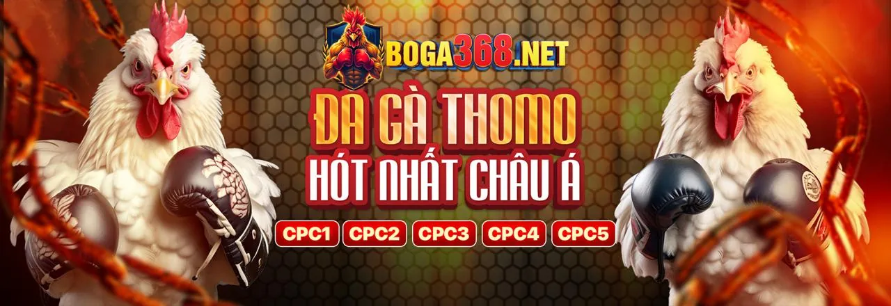 Đá gà trực tuyến Kèo 88